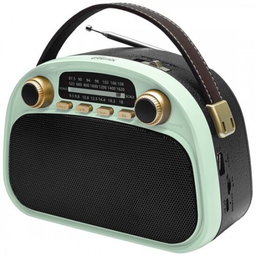 Радиоприемник Ritmix RPR-040 (мятный/черный) 5