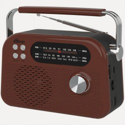 Радиоприемник Ritmix RPR-045 (коричневый)