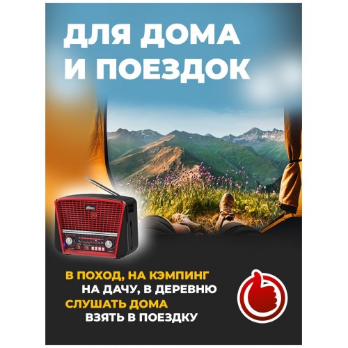 Радиоприемник Ritmix RPR-050 (красный) 4