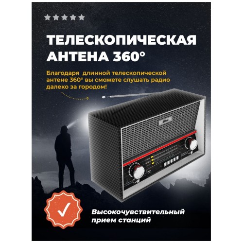 Радиоприемник Ritmix RPR-102 (черный карбон) 1