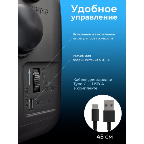 Радиоприемник Ritmix RPR-320 (черный) 6