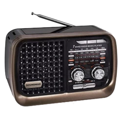 Радиоприемник Soudmax SM-RD2124UB (черный/серый)