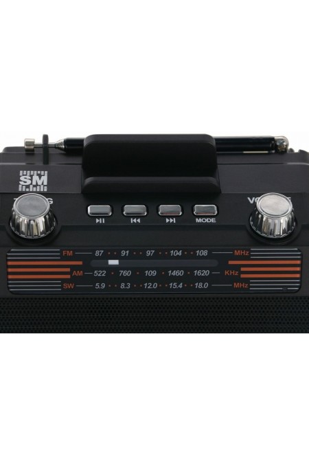Радиоприемник Soundmax SM-RD2114UB (черный) 3