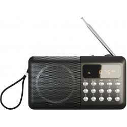 Радиоприемник Soundmax SM-RD2116 (черный)