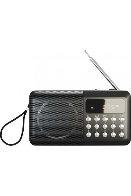 Радиоприемник Soundmax SM-RD2116 (черный) 