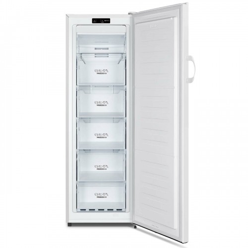 Морозильник Gorenje FN4171CW (белый) 2