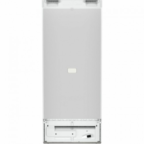 Морозильник Liebherr FNe 4605 (белый) 1
