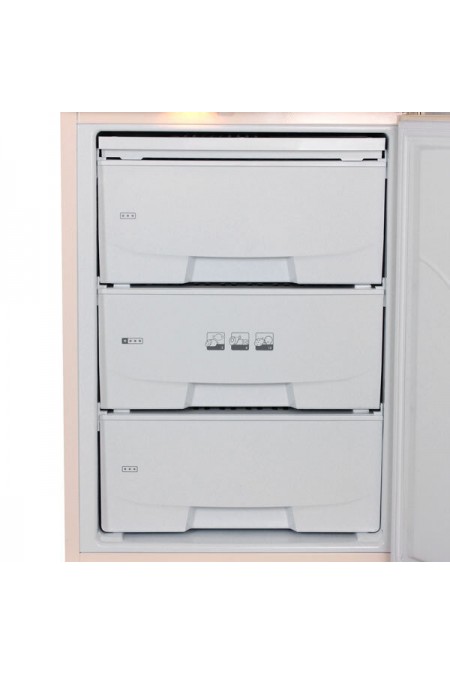 Морозильник Pozis Свияга 109-2 Bg (бежевый) 2