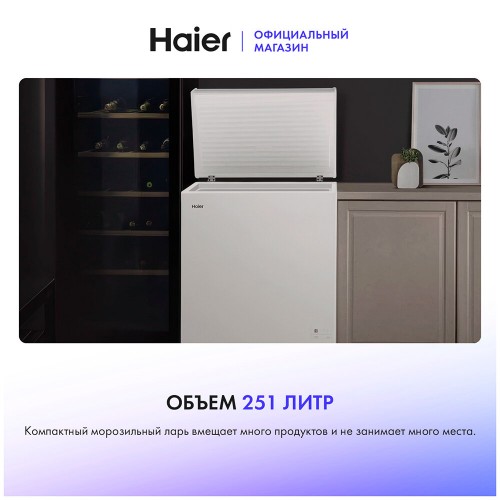 Морозильный ларь HAIER HCE251R (белый) 2