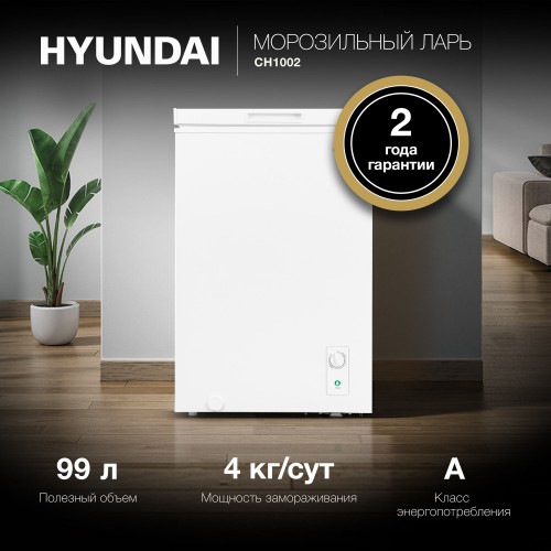 Морозильный ларь Hyundai CH1002 (белый) 1