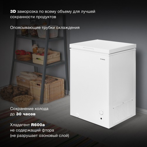 Морозильный ларь Hyundai CH1002 (белый) 3