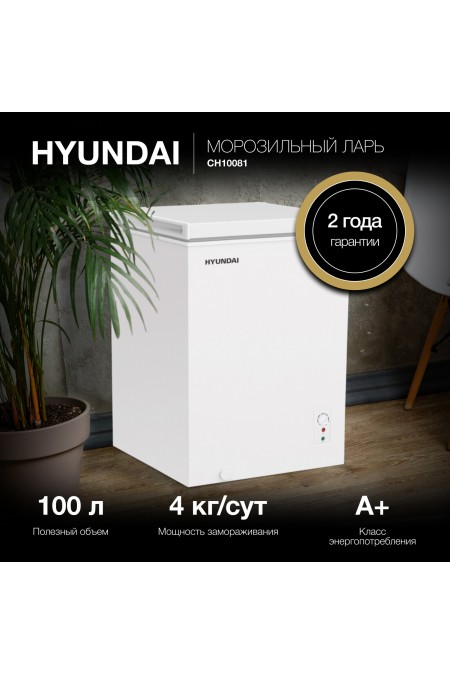 Морозильный ларь Hyundai CH10081 (белый) 2