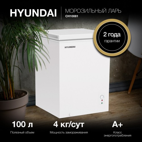 Морозильный ларь Hyundai CH10081 (белый) 2