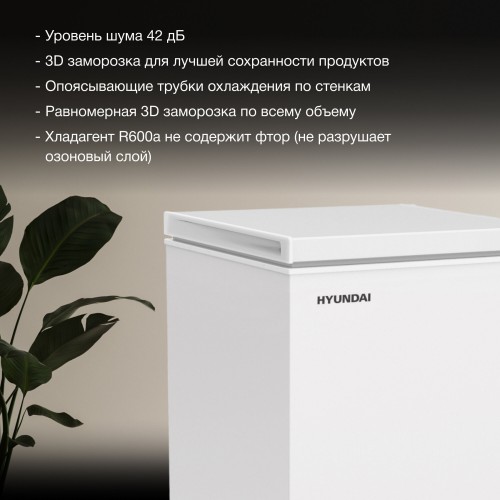 Морозильный ларь Hyundai CH10081 (белый) 5