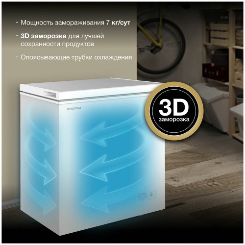 Морозильный ларь Hyundai CH15031 (белый) 1