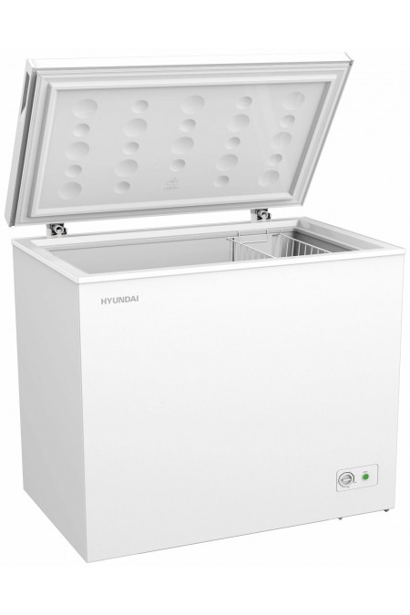 Морозильный ларь Hyundai CH25031 (белый) 1