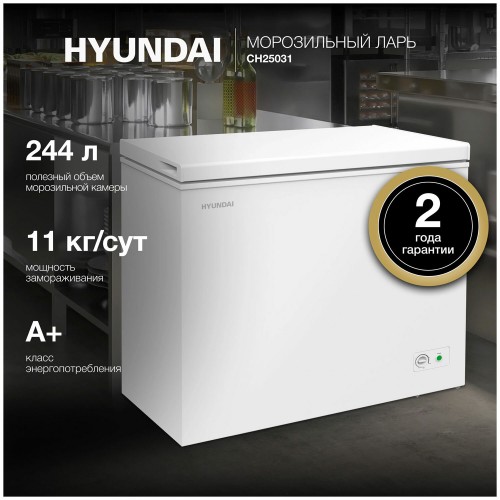Морозильный ларь Hyundai CH25031 (белый) 7