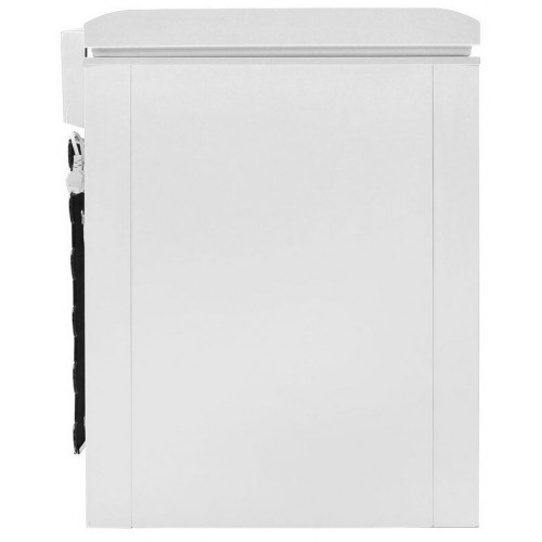 Морозильный ларь Pozis FH-255-1 (белый) 4