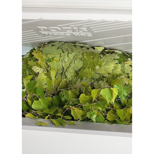 Морозильный ларь Pozis FH-258-1 (белый) 5