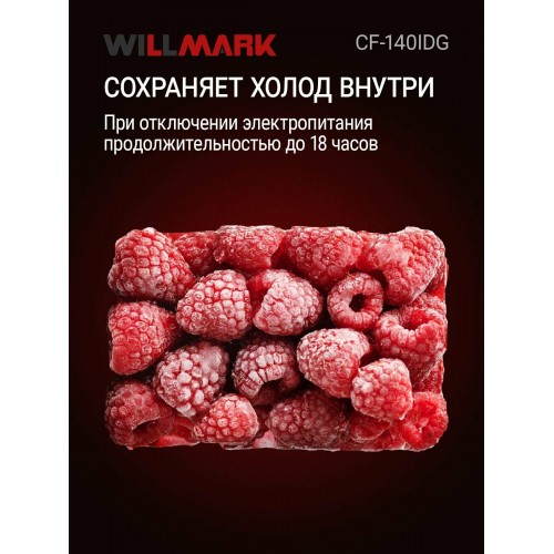 Морозильный ларь WILLMARK CF-140IDG (серый) 4