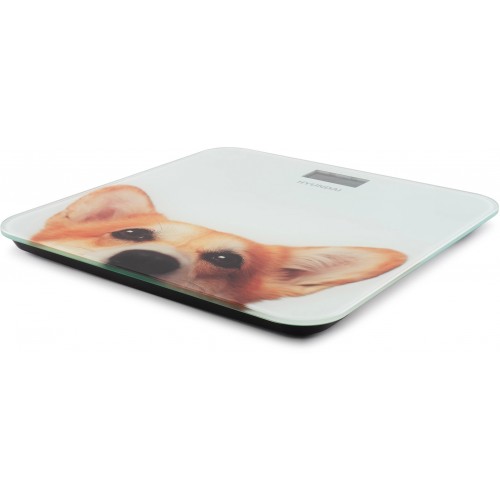 Весы электронные HYUNDAI H-BS03671 (белый) 3