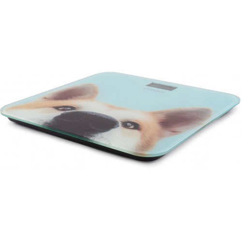 Весы электронные HYUNDAI H-BS03680 (голубой) 3