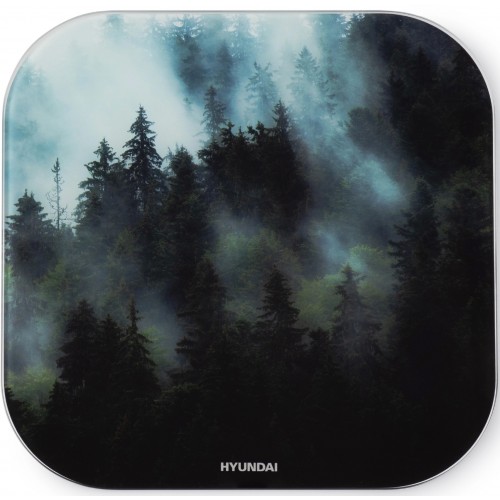 Весы электронные HYUNDAI H-BS03761 (темно-зеленый) 2