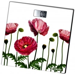 Весы электронные CENTEK CT-2416 (маки)