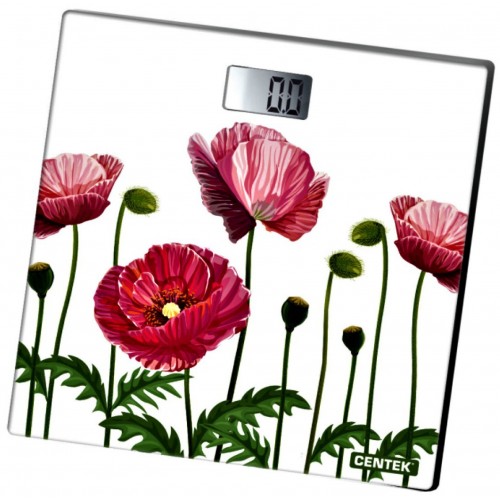 Весы электронные CENTEK CT-2416 (маки) 