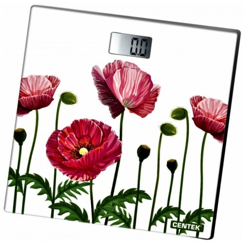 Весы электронные CENTEK CT-2416 (маки) 1