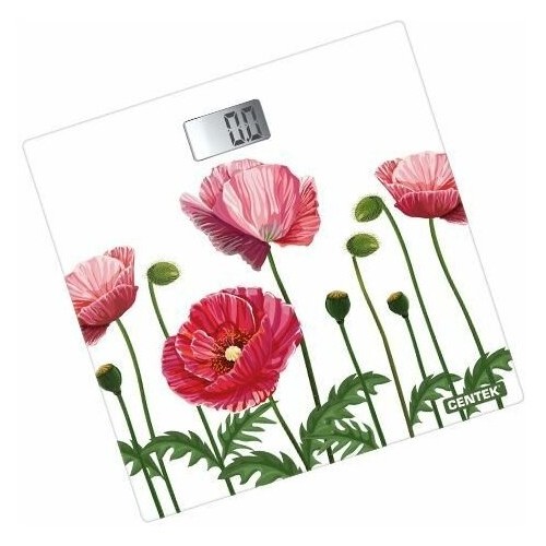 Весы электронные CENTEK CT-2416 (маки) 2