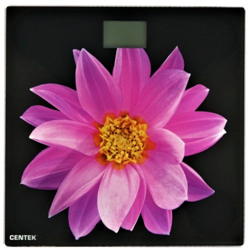 Весы электронные CENTEK CT-2416 (розовый цветок) 6