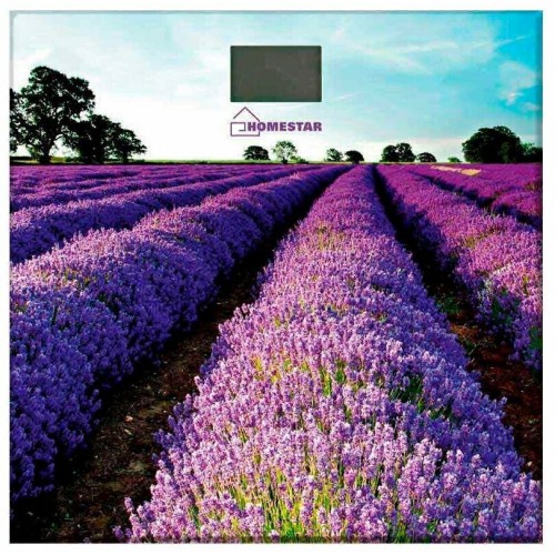 Весы электронные HOMESTAR HS-6001G (фиолетовый) 