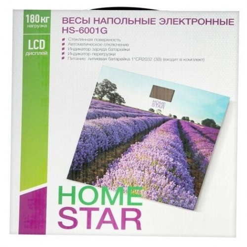 Весы электронные HOMESTAR HS-6001G (фиолетовый) 1