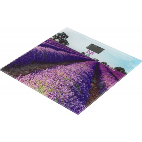 Весы электронные HOMESTAR HS-6001G (фиолетовый) 8