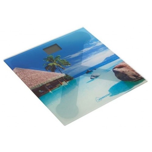 Весы электронные HOMESTAR HS-6001H (рисунок) 1