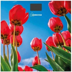 Весы электронные HOMESTAR HS-6001I (синий)