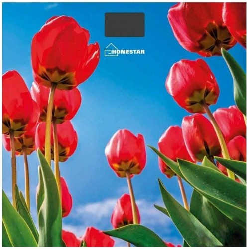 Весы электронные HOMESTAR HS-6001I (синий) 