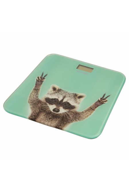 Весы электронные HYUNDAI H-BS03589 (мятный) 2