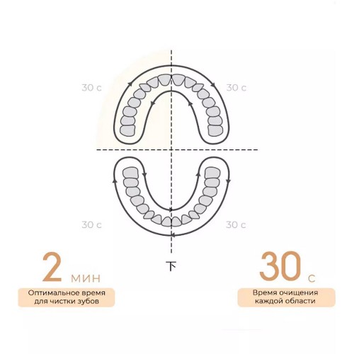 Электрическая зубная щетка Xiaomi Mijia Electric Toothbrush T200 (MES606) (розовый) 3