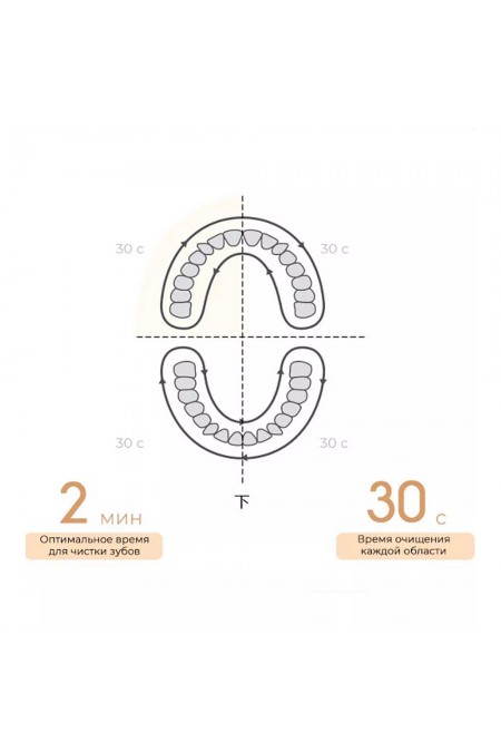 Электрическая зубная щетка Xiaomi Mijia Electric Toothbrush T200C (голубой) 5