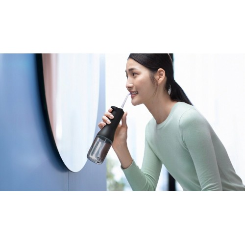 Ирригатор Philips HX3826/33 (черный) 1