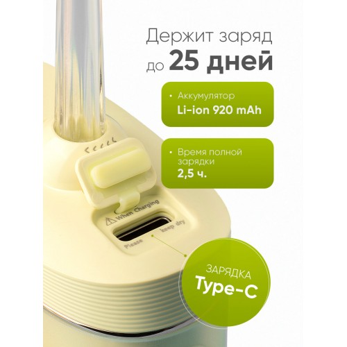 Ирригатор Revyline RL 430 Plus (зеленый) 