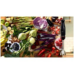 Погружной блендер Bosch MSM4B620 (черный)