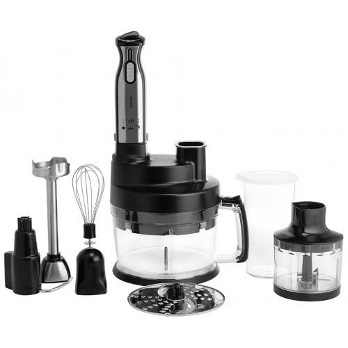 Погружной блендер CENTEK CT-1310 (черный/серебристый) 