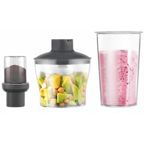 Погружной блендер CENTEK CT-1313 (серебристый/черный) 1