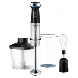 Погружной блендер CENTEK CT-1345 (черный/серебристый)