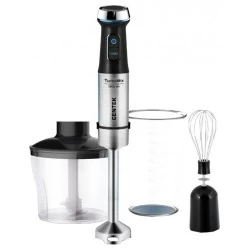Погружной блендер CENTEK CT-1345 (черный/серебристый)