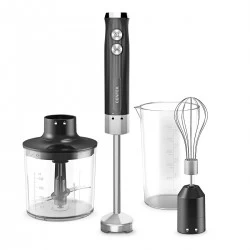 Погружной блендер CENTEK CT-1349 (черный)