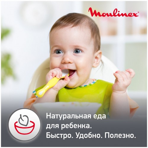 Погружной блендер Moulinex Yummy Gourmet DD55W110 (белый/черный) 1